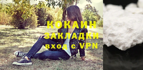 крисы Гусев