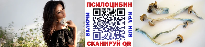 Псилоцибиновые грибы прущие грибы  Звенигово 